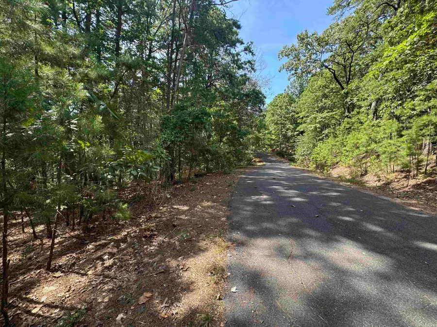 84 Gerante Way, Hot Springs Village, AR 71909 - #2