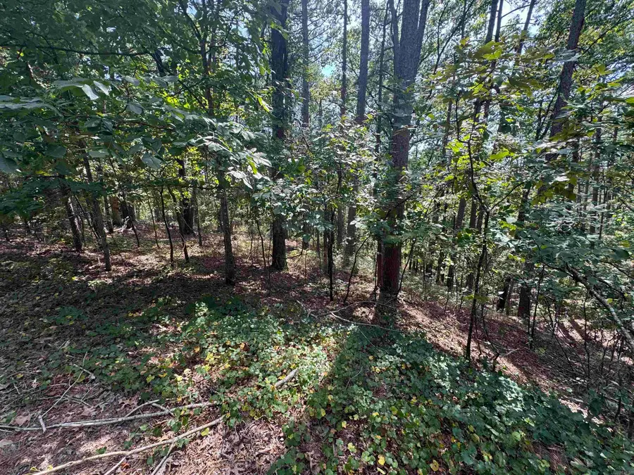 84 Gerante Way, Hot Springs Village, AR 71909 - #3