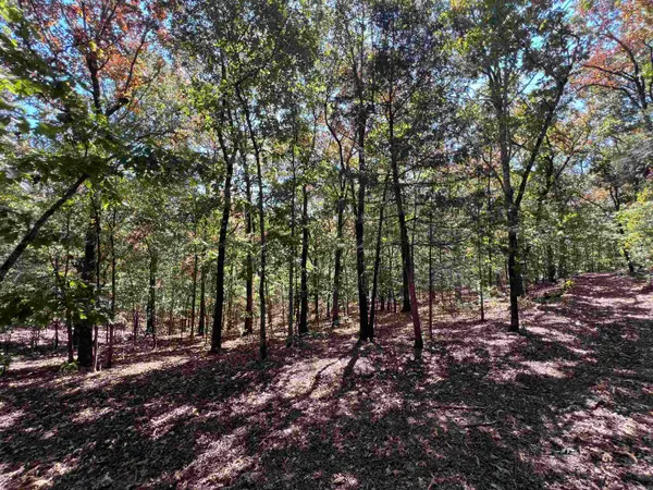 000 Cee Jay Ln, Sulphur Rock, AR 72579