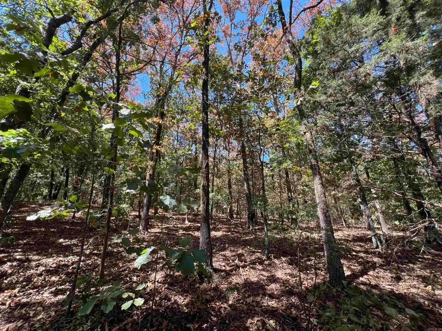000 Cee Jay Ln, Sulphur Rock, AR 72579 - #2