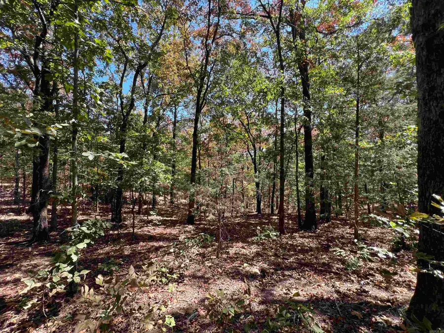 000 Cee Jay Ln, Sulphur Rock, AR 72579 - #3