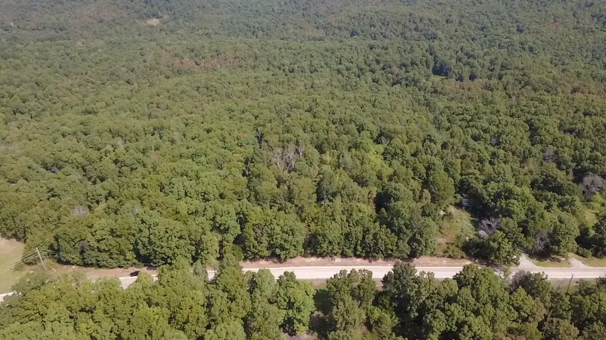 TBD 175 Highway, Hardy, AR 72542 - #1