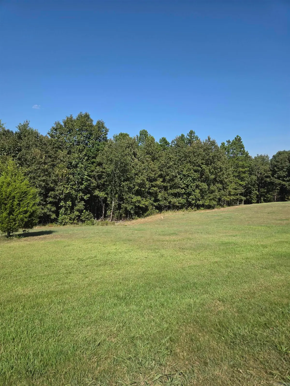lot 37 lot 38 Tournament Drive, Mountain View, AR 72560 - #1