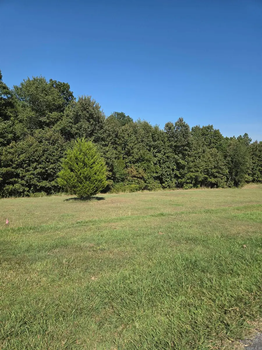 lot 37 lot 38 Tournament Drive, Mountain View, AR 72560 - #2