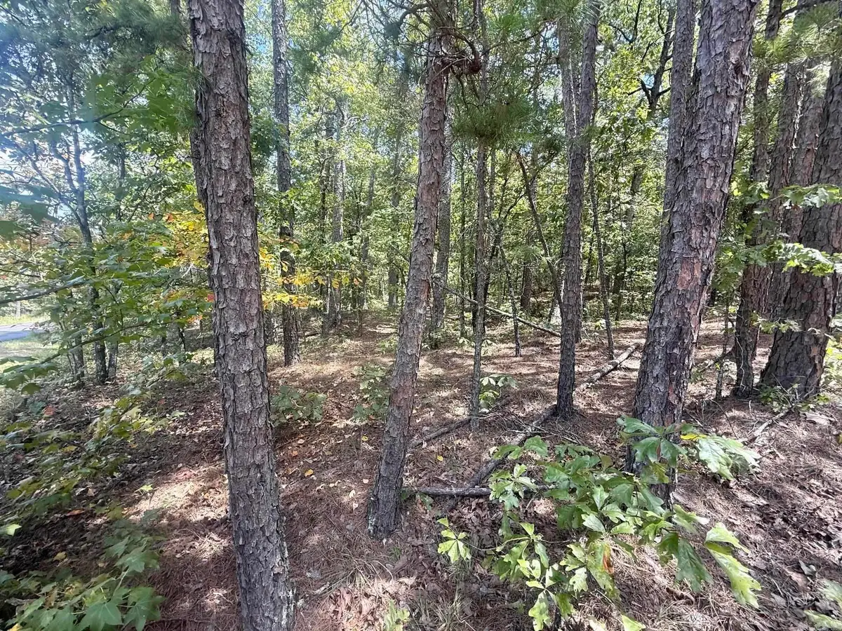 Mazarron Drive, Hot Springs Village, AR 71909 - #1