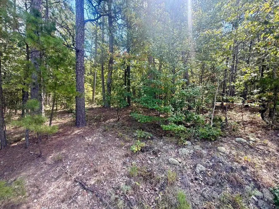 Mazarron Drive, Hot Springs Village, AR 71909 - #2
