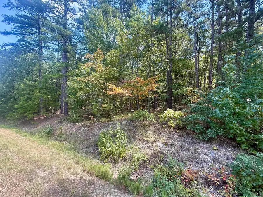 Mazarron Drive, Hot Springs Village, AR 71909 - #3