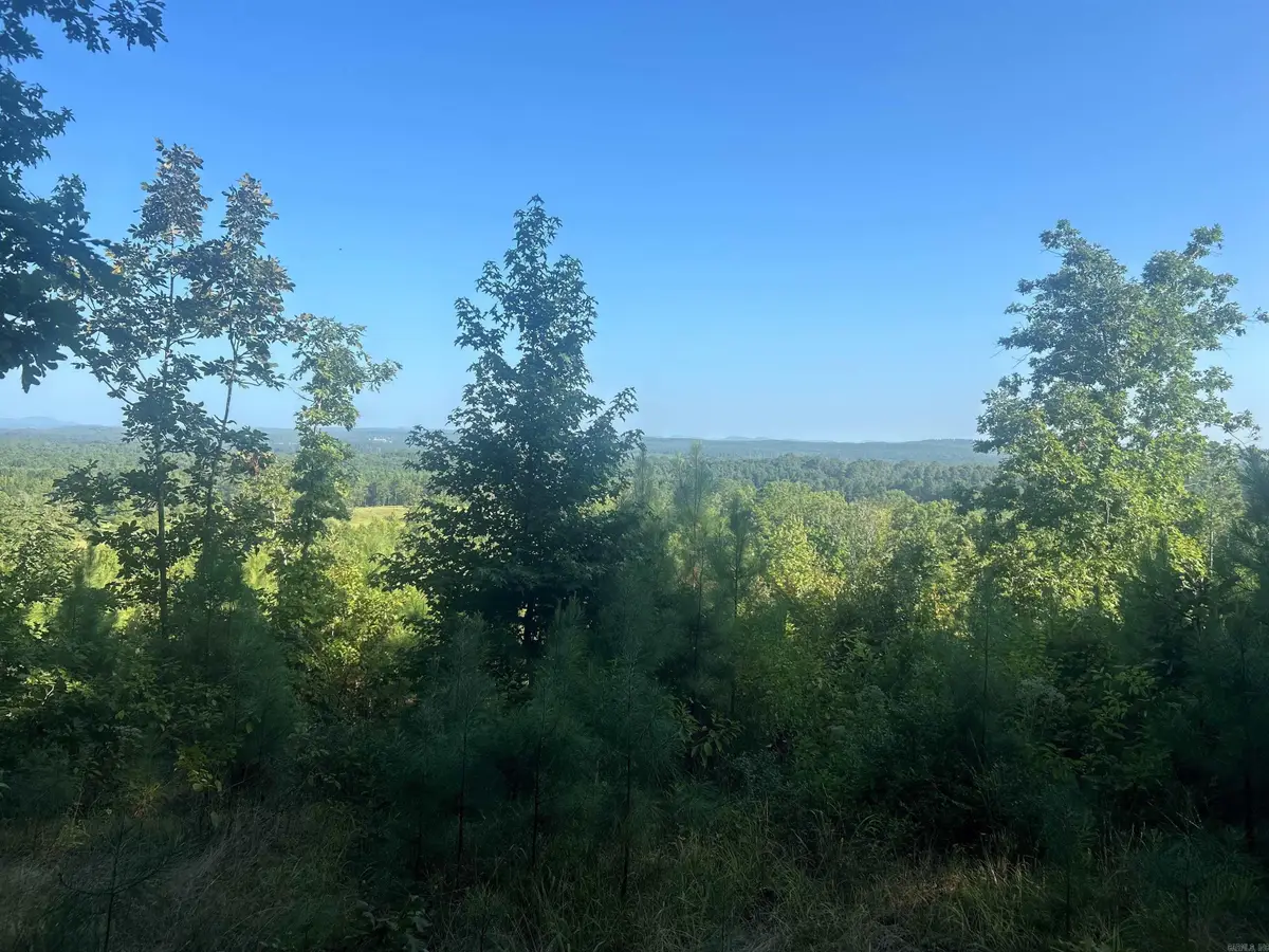 TBD 347 Highway, Bismarck, AR 71929 - #1