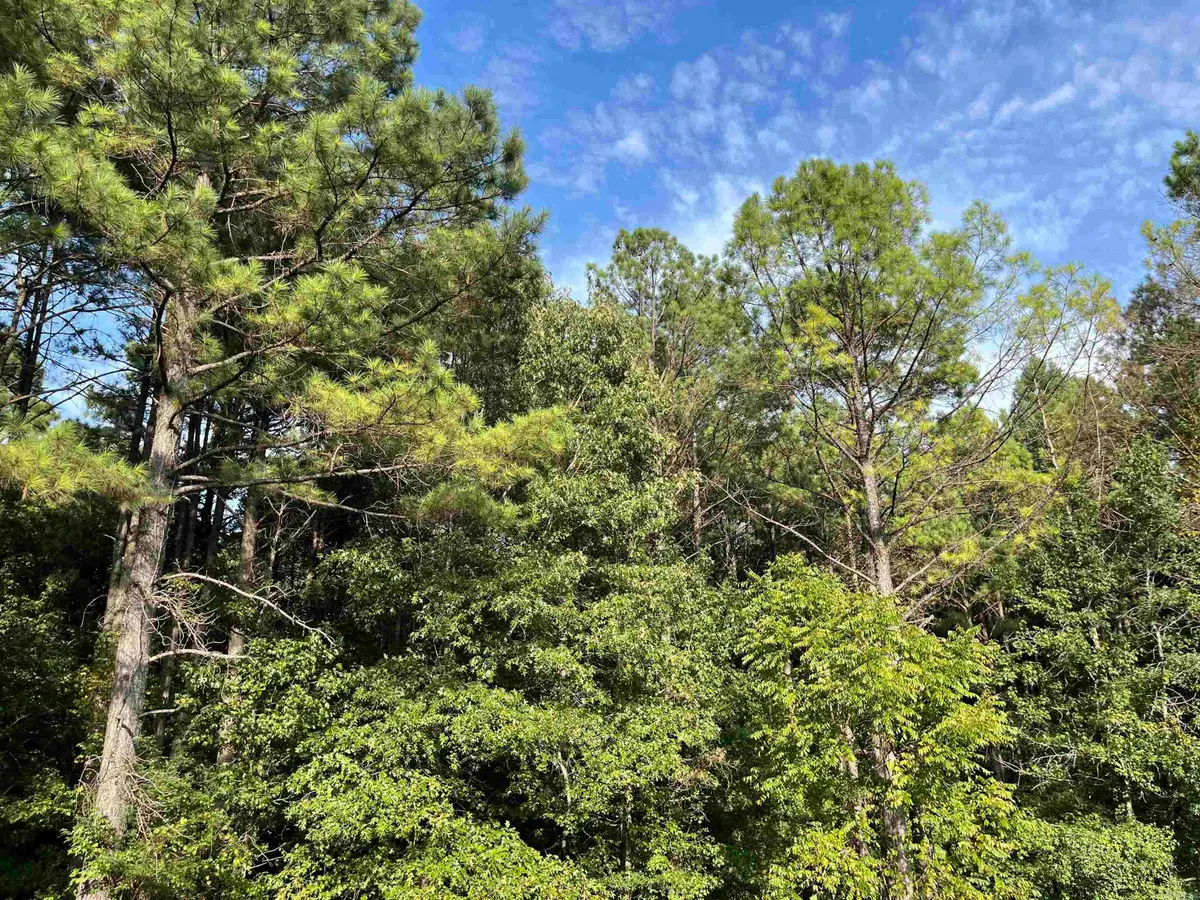 0 S Bills Road, Murfreesboro, AR 71958 - #1