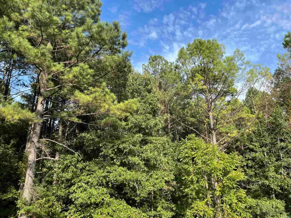 0 S Bills Road, Murfreesboro, AR 71958