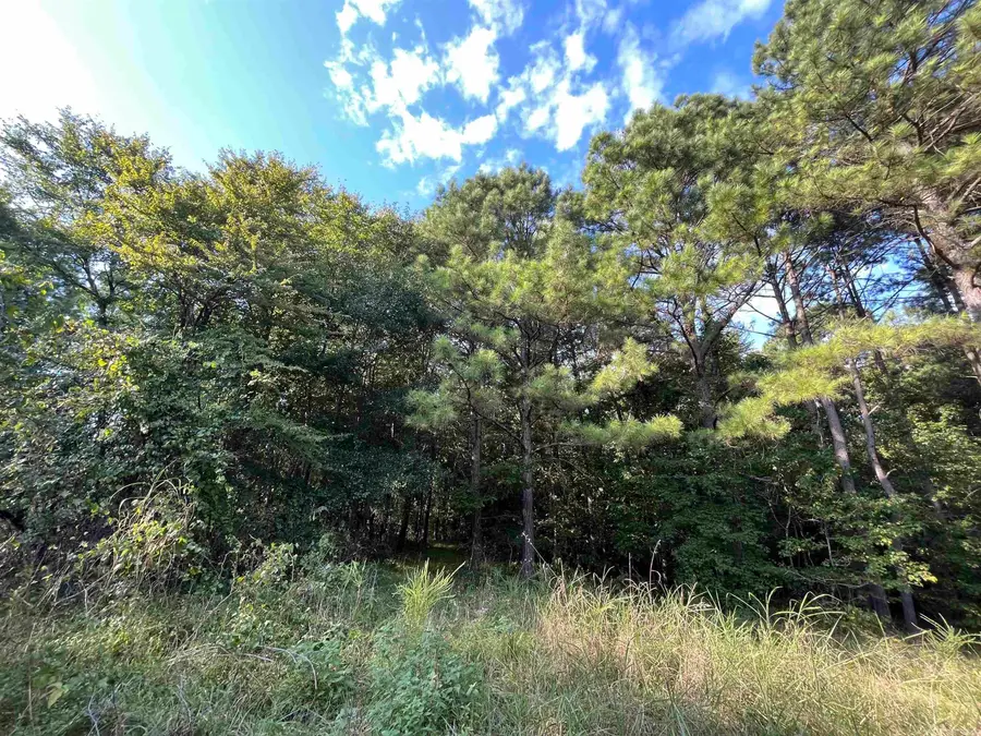 0 S Bills Road, Murfreesboro, AR 71958 - #2