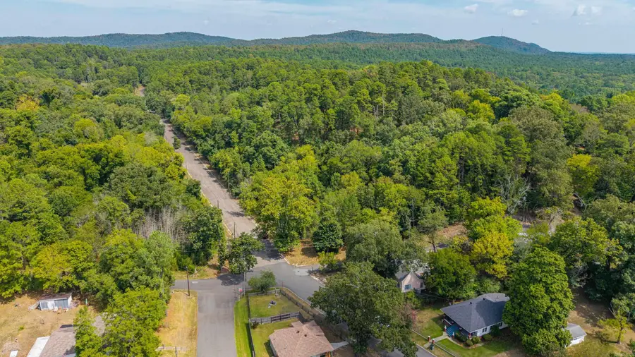 402 Pullman Avenue, Hot Springs, AR 71901 - #3