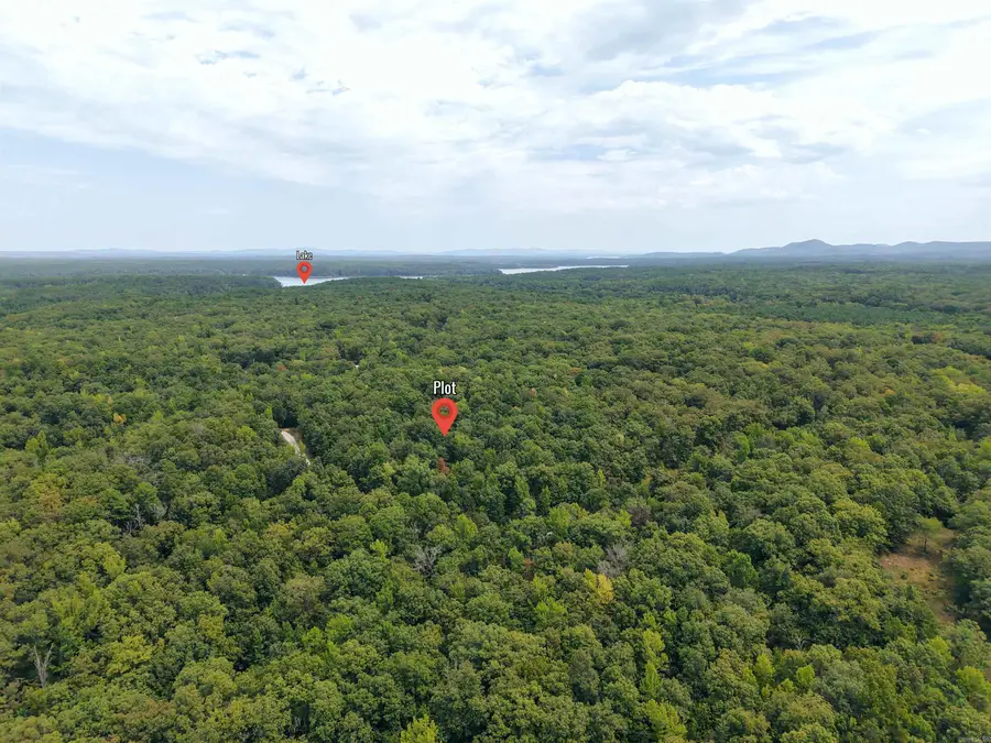 84 Archwood, Mount Ida, AR 71957 - #2