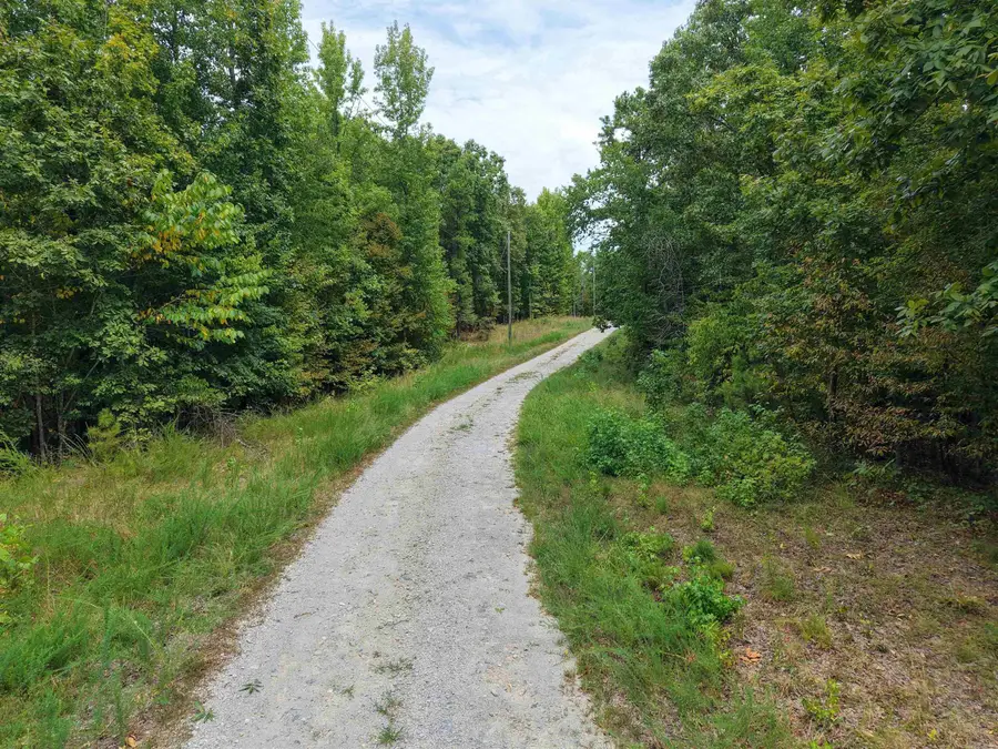 84 Archwood, Mount Ida, AR 71957 - #3