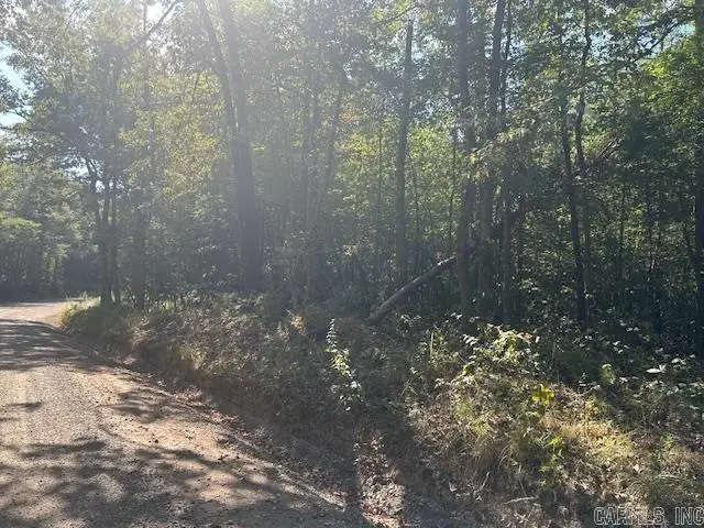 000 Shaw Bridge Road, Benton, AR 72015 - #2