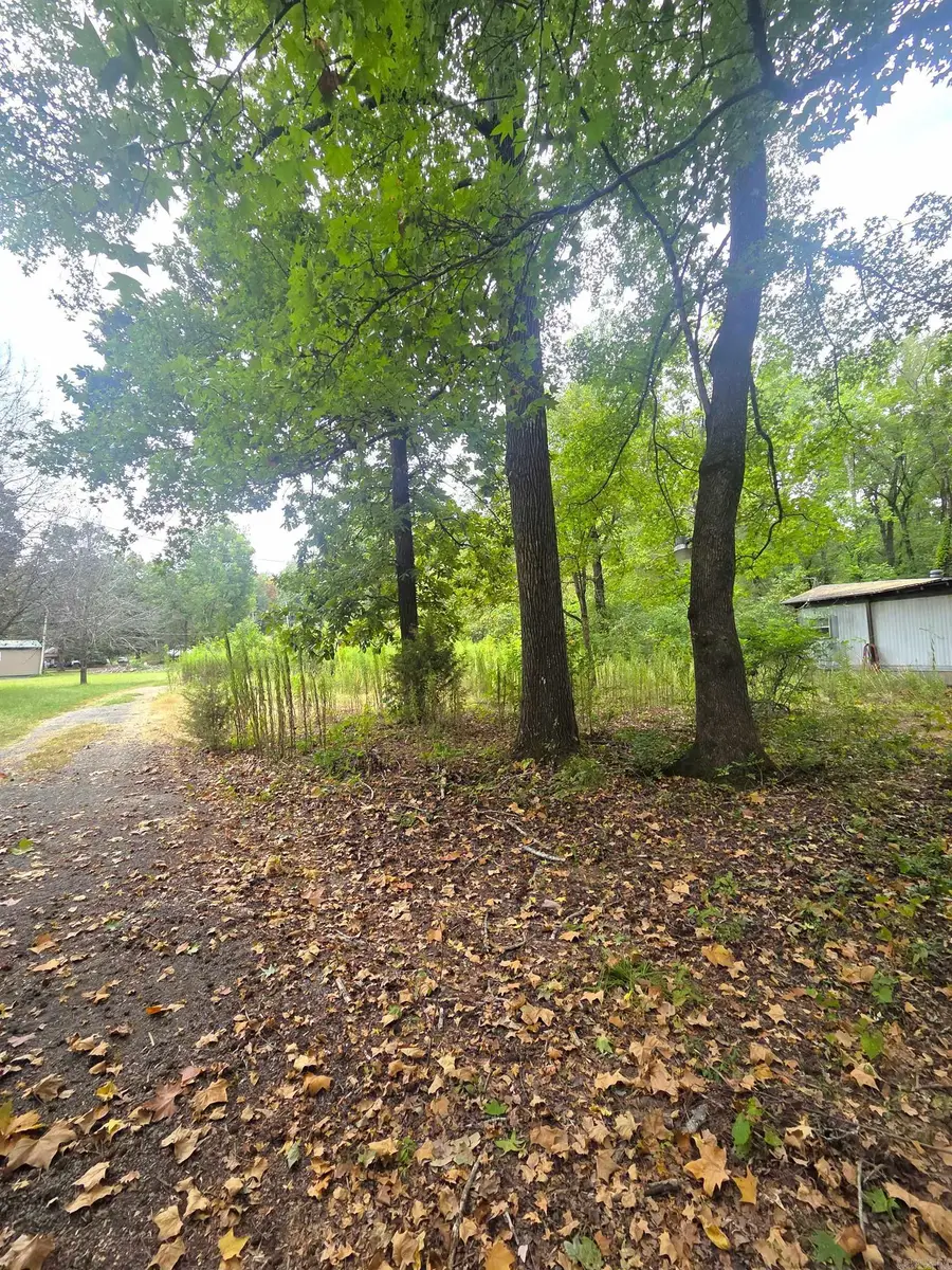 4901 Lakewood Road, Waldron, AR 72958 - #3