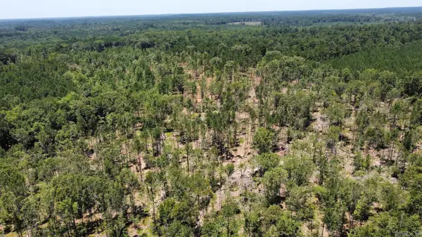 East 16.9 Ac On Hwy 82 E, El Dorado, AR 71730