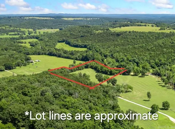 Lot 1 N Cedar Grove Road, Lead Hill, AR 72644