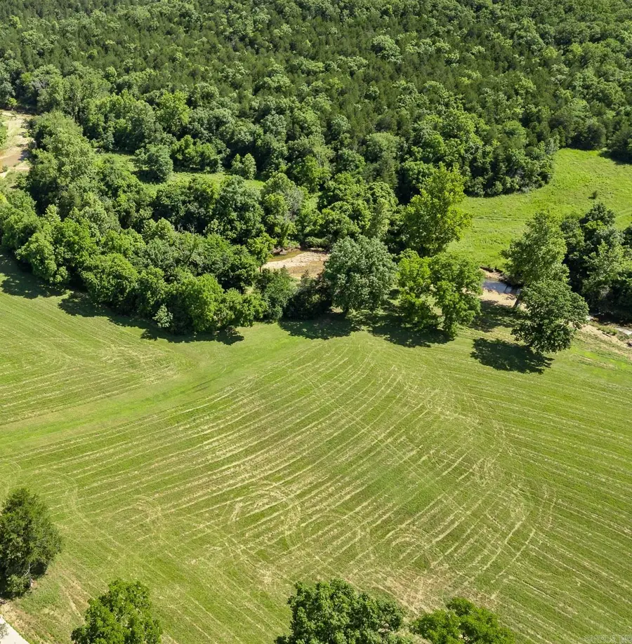Lot 2 N Cedar Grove Road, Lead Hill, AR 72644 - #2