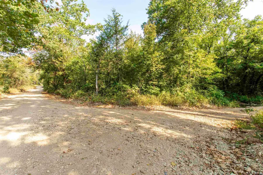 12 Hunter Lane, Poughkeepsie, AR 72569 - #2