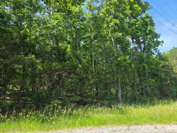 505 Dove Lane, Horseshoe Bend, AR 72512