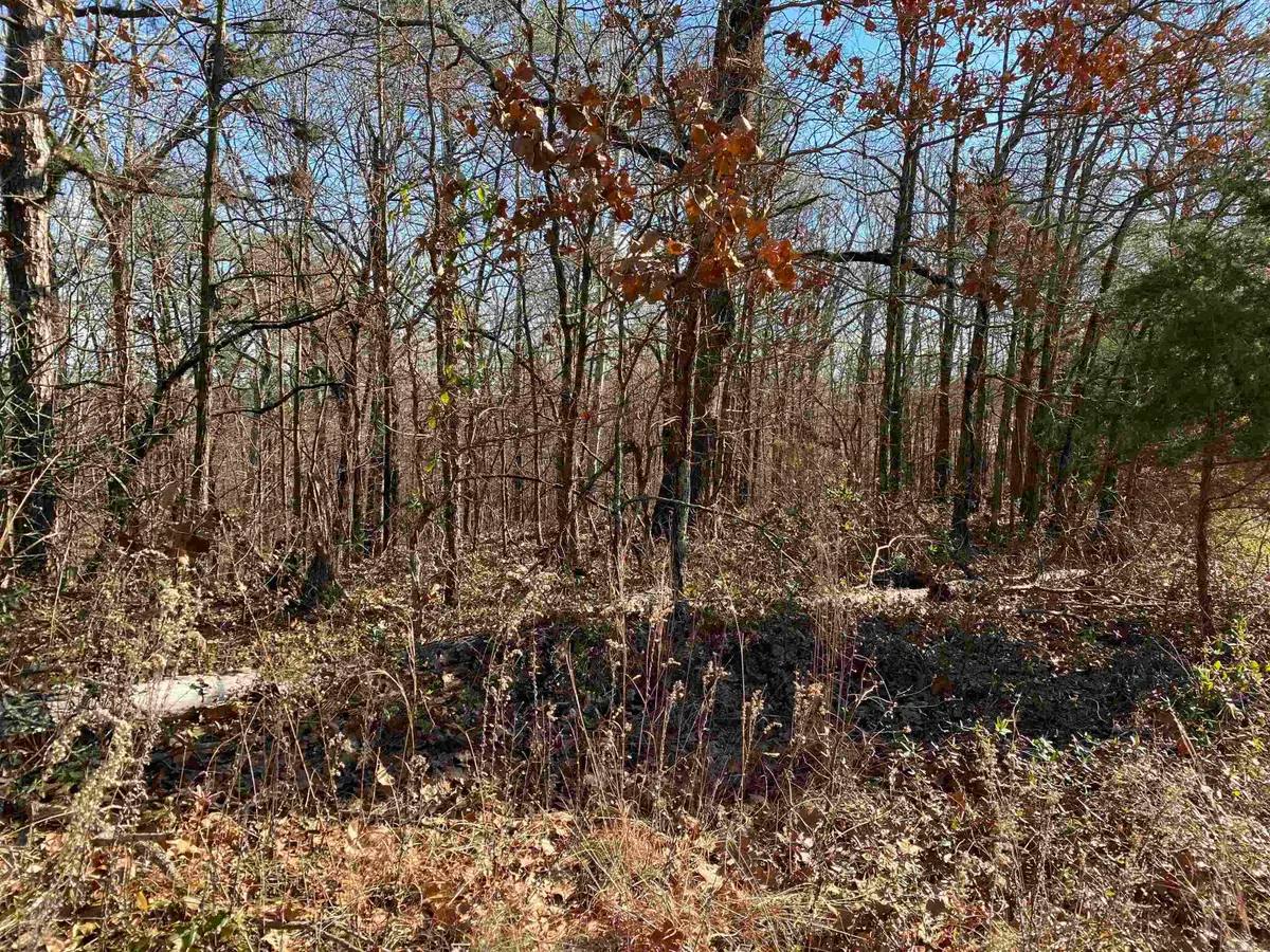 13242 Hwy 163, Harrisburg, AR 72432 - #1