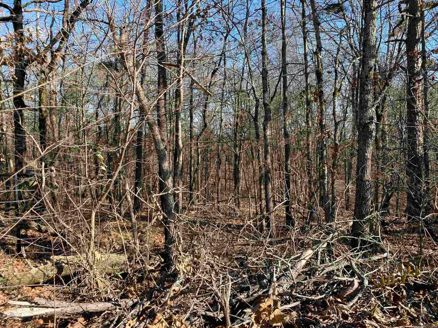 13242 Hwy 163, Harrisburg, AR 72432 - #2