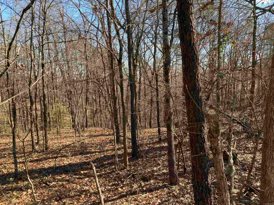 13242 Hwy 163, Harrisburg, AR 72432 - #3