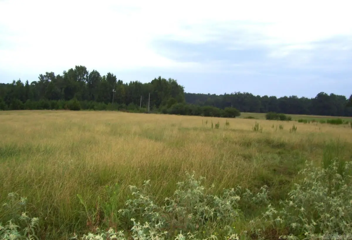Address Withheld By Seller, Ashdown, AR 71822 - #1