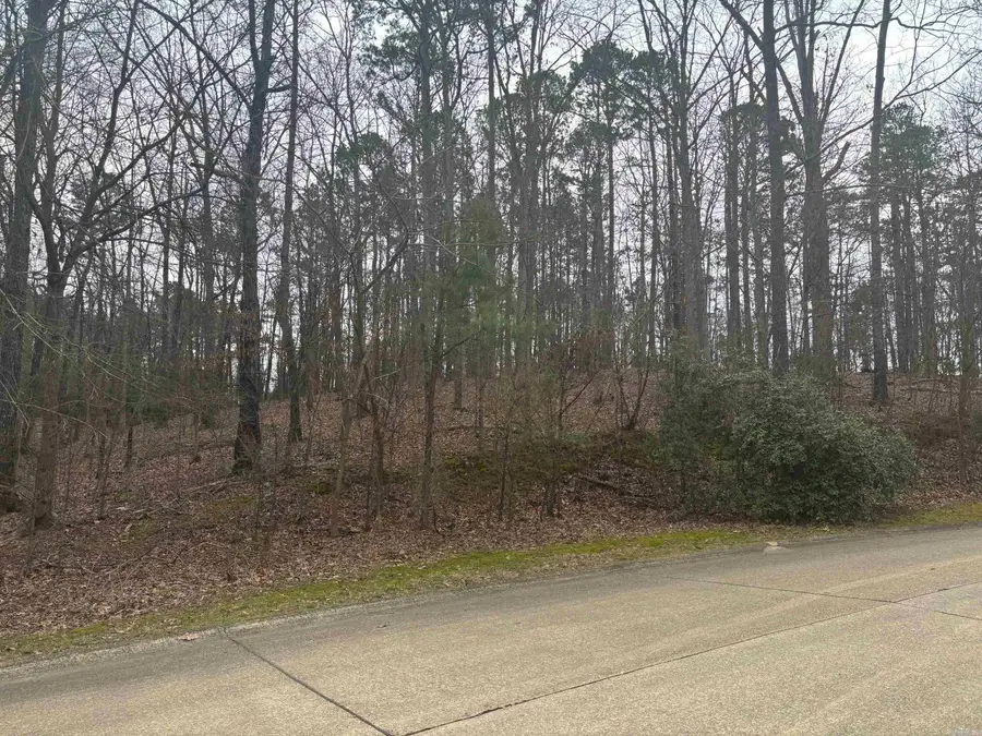 Address Withheld By Seller, Hot Springs, AR 71913 - #3