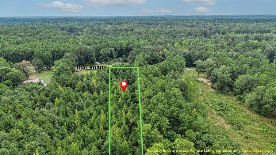 000 Dial Road, Pine Bluff, AR 71603 - #3