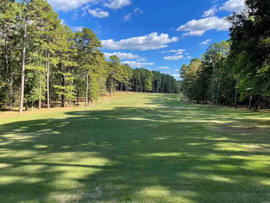 450 Kustrin Dr., Drasco, AR 72530 - #3