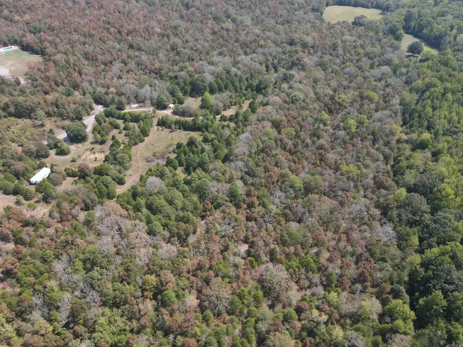 10 Acres Turkey Mountain Road, El Paso, AR 72045 - #2