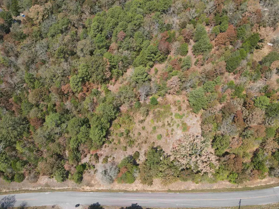 2.5 Acres Turkey Mountain Road, El Paso, AR 72045 - #2