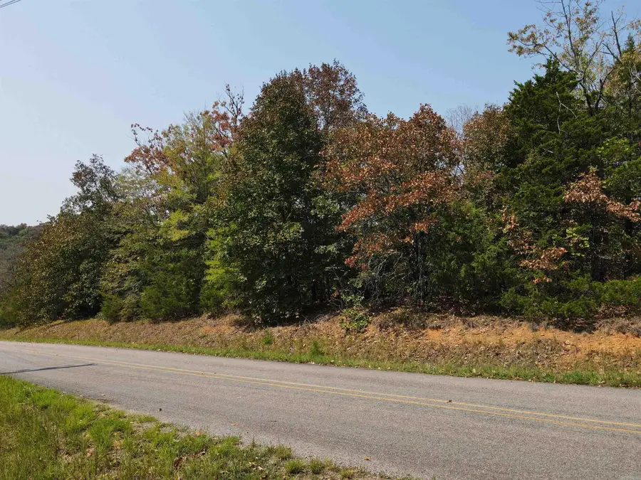 2.5 Acres Turkey Mountain Road, El Paso, AR 72045 - #3