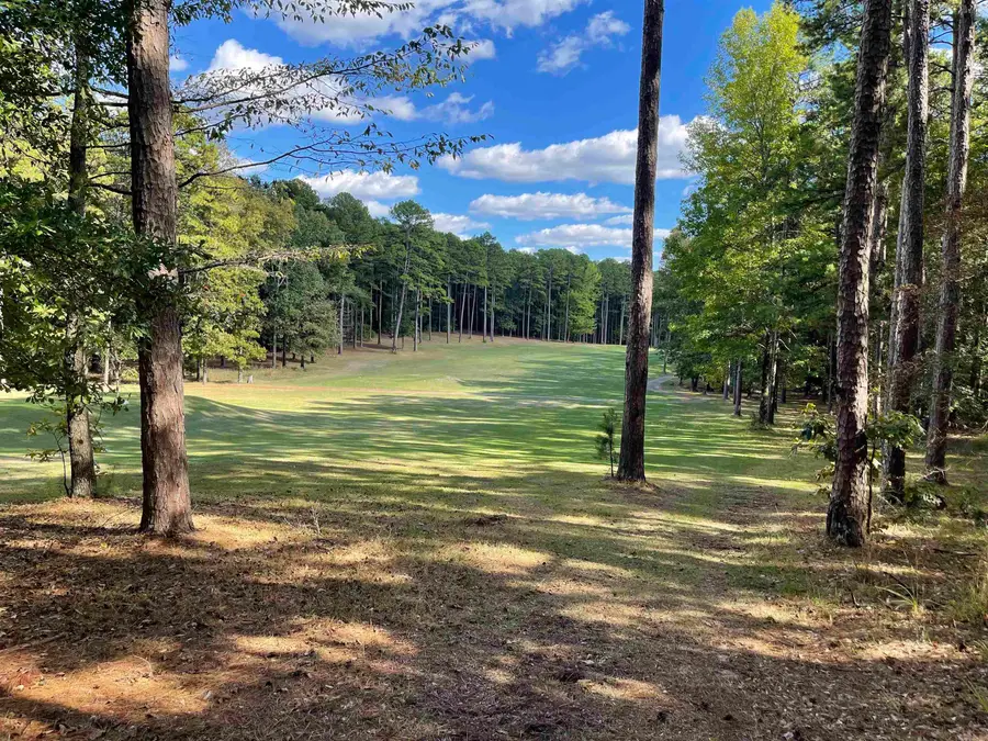 441 Kustrin Dr., Drasco, AR 72530 - #3
