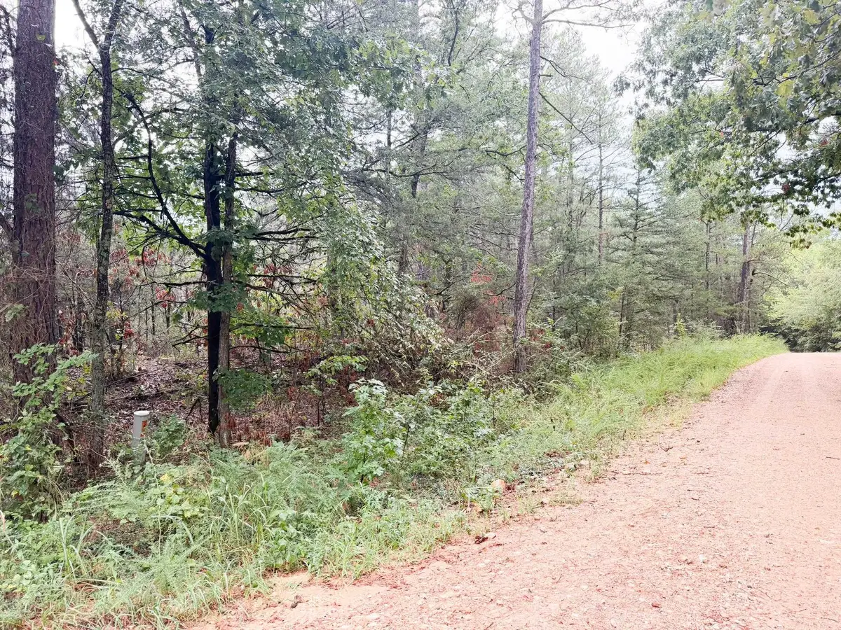 3 Spring Creed Road, Calico Rock, AR 72519 - #1