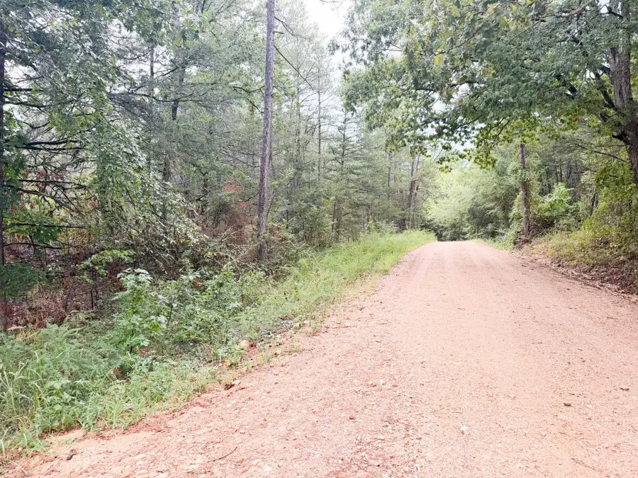 3 Spring Creed Road, Calico Rock, AR 72519 - #2