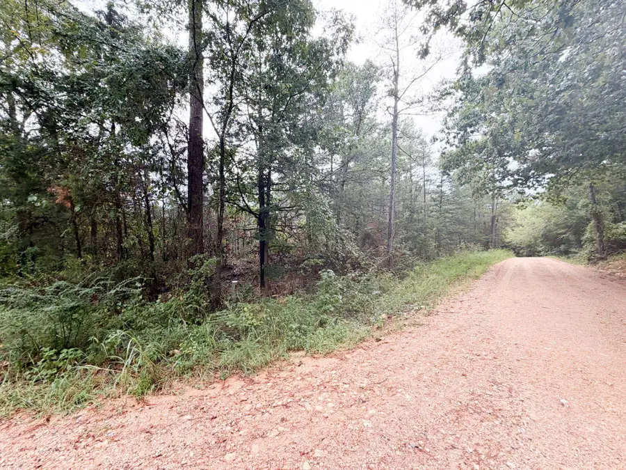 3 Spring Creed Road, Calico Rock, AR 72519 - #3
