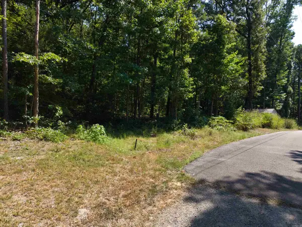 0 White Street, Clinton, AR 72031