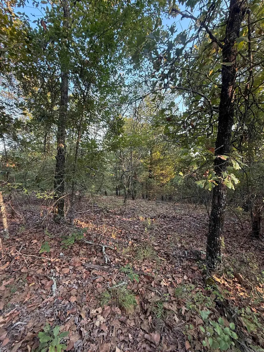 64 Madison Lane, Jacksonville, AR 72076 - #3