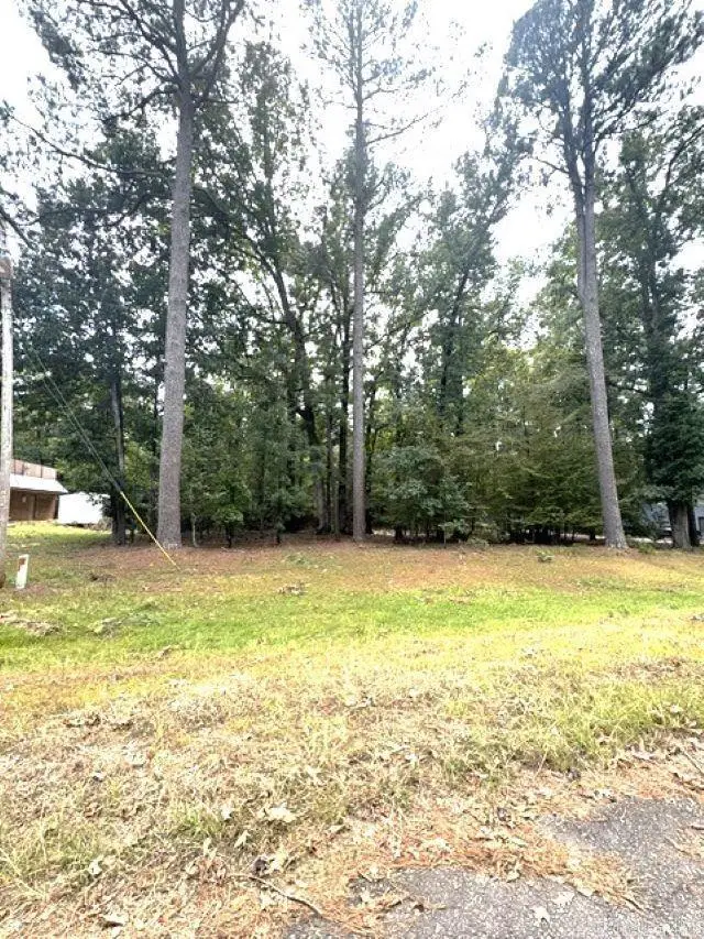 00 Roberts Drive, Monticello, AR 71655 - #3