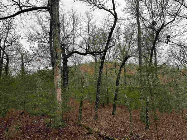 001-00447-000 Mc 6037, Yellville, AR 72687