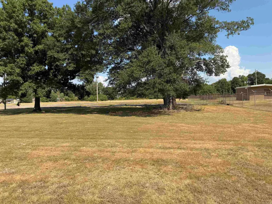 3203 Race Street, Jonesboro, AR 72401 - #3