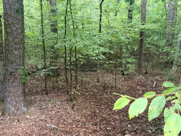 5 Saldana Way Way, Hot Springs Village, AR 71909