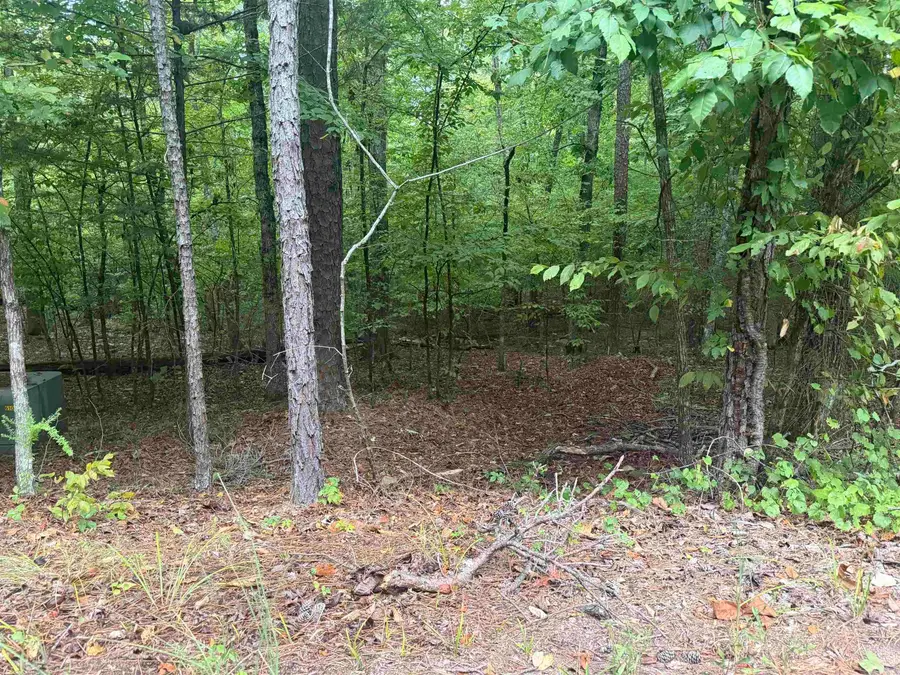5 Saldana Way Way, Hot Springs Village, AR 71909 - #2