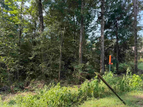 0 Castle Valley Road, Little Rock, AR 72103