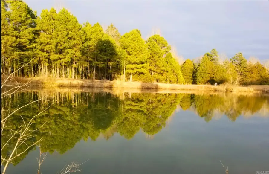 6413 Hwy 124, Quitman, AR 72131 - #2