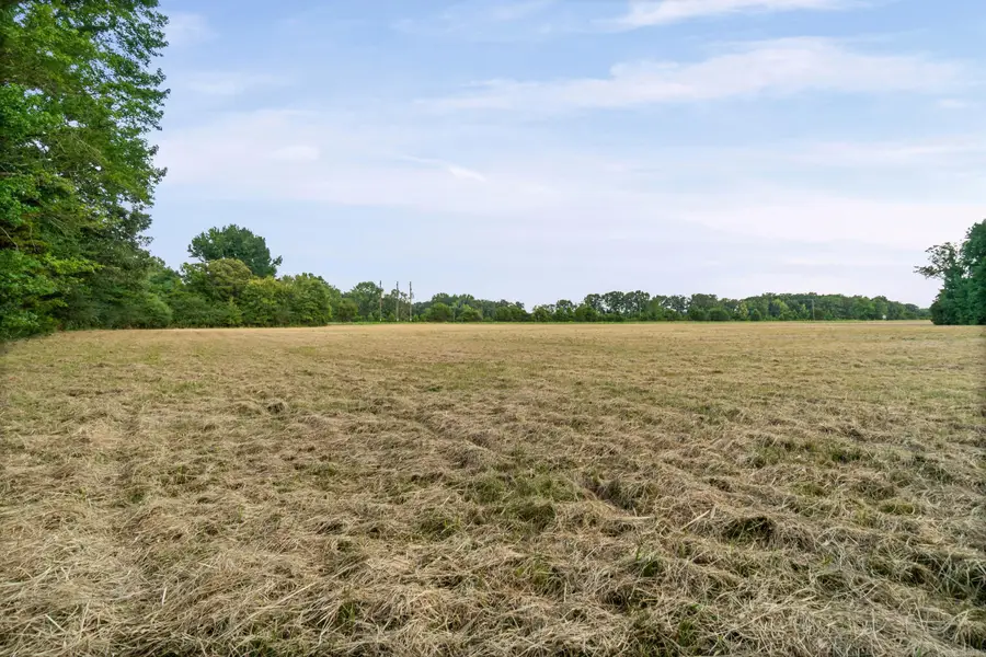 000 Highway 36, Mount Vernon, AR 72111 - #2