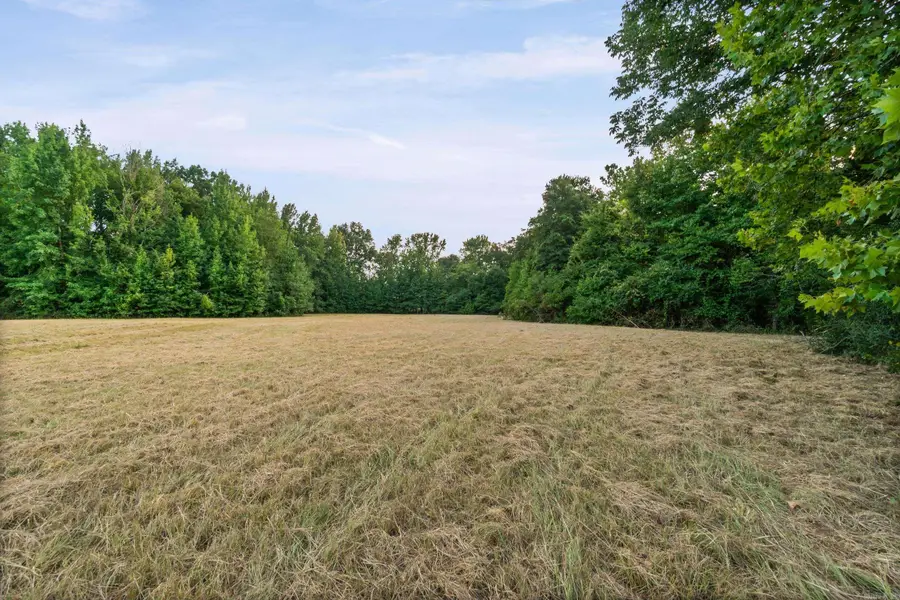 000 Highway 36, Mount Vernon, AR 72111 - #3